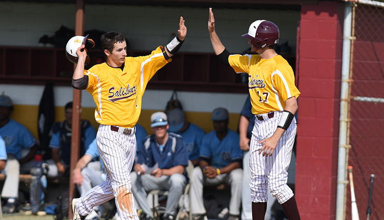 Salisbury Falls to Roanoke in NCAA South Baseball Regional Championship