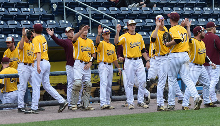 Salisbury Baseball Earns No. 1 Seed in Six-Team South Regional
