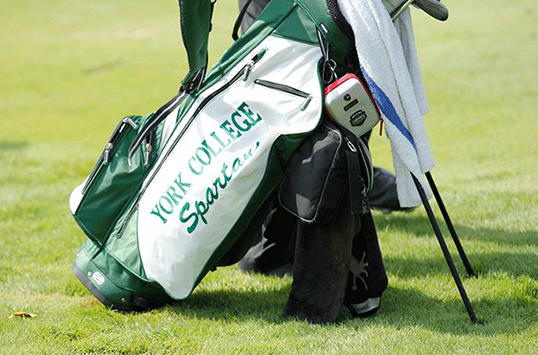York to Add Women's Golf as Varsity Sport