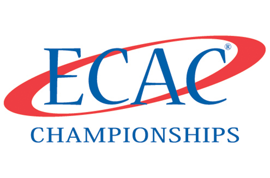 Wesley Women's Soccer Team Gains First-Ever ECAC Playoff Bid: Wolverines Travel To Arcadia In First Round