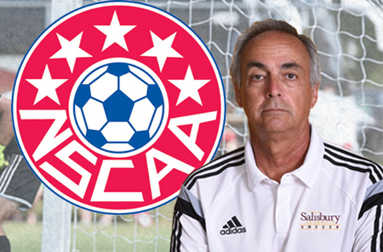 Salisbury's DiBartolo Named South Atlantic Region Men's Soccer Coach of the Year