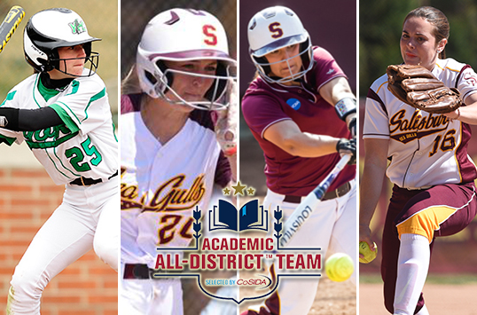 Salisbury Trio, York's Zittle Earn CoSIDA Academic All-District Honors