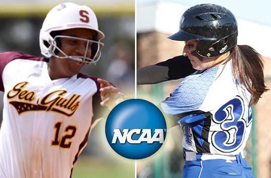 Christopher Newport Softball Earns NCAA At-Large Bid, Will Host 3-Team Regional; Salisbury Headed to Virginia Wesleyan