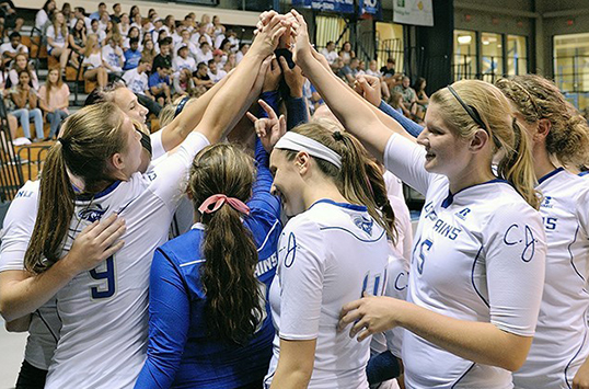 Christopher Newport Volleyball Falls to Calvin in NCAA Quarterfinals