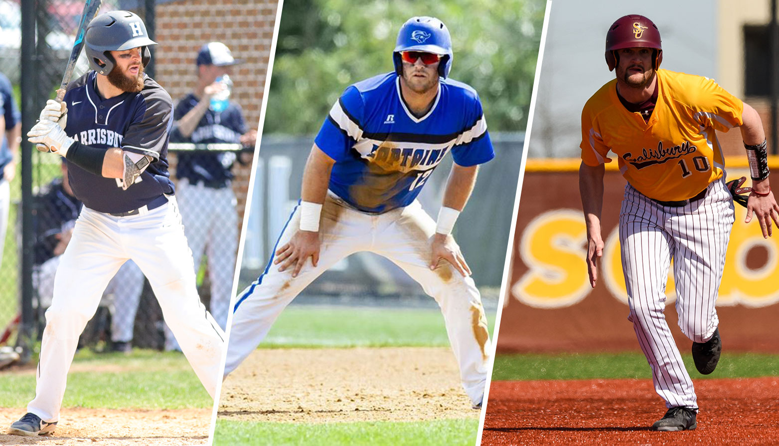 Christopher Newport & Salisbury Earn NCAA Baseball Hosting Duties; Penn State Harrisburg Punches Ticket