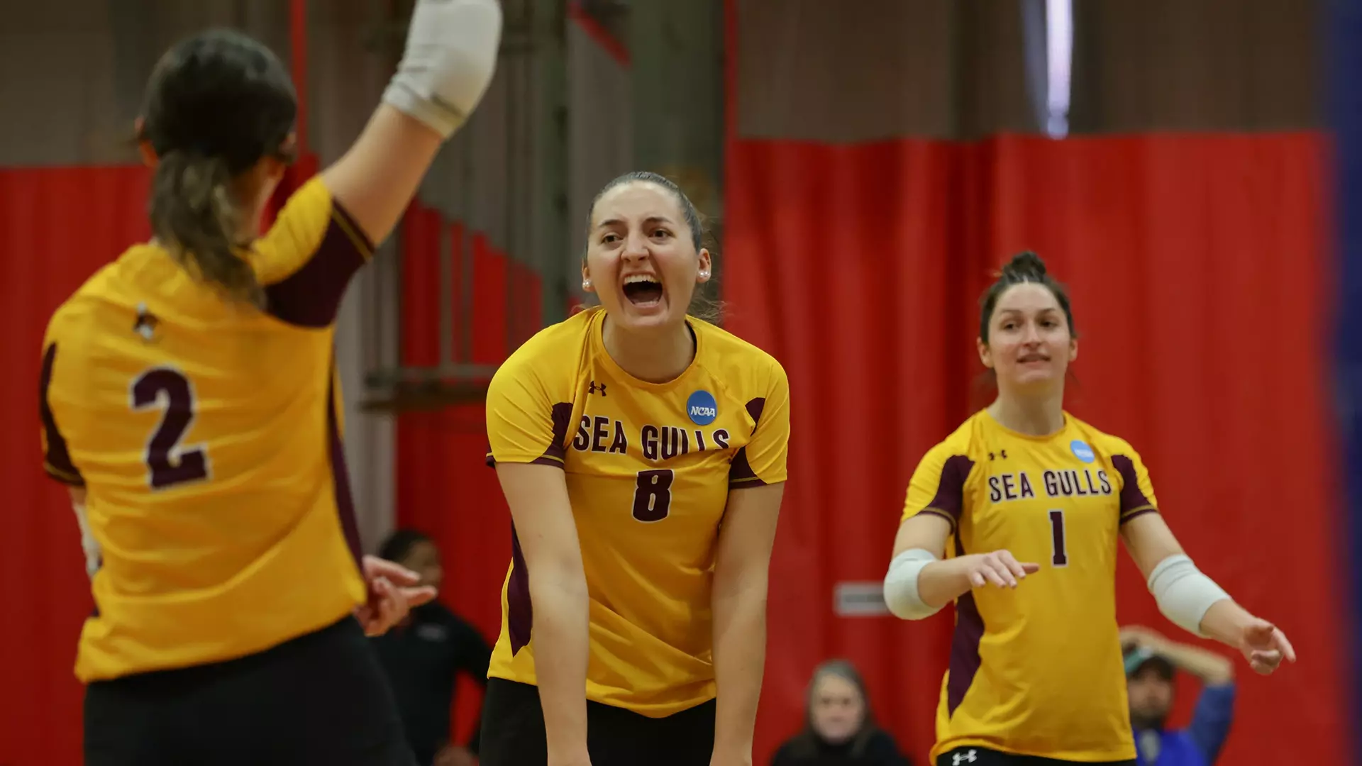 Salisbury outlasts Colorado College in NCAA Volleyball First Round