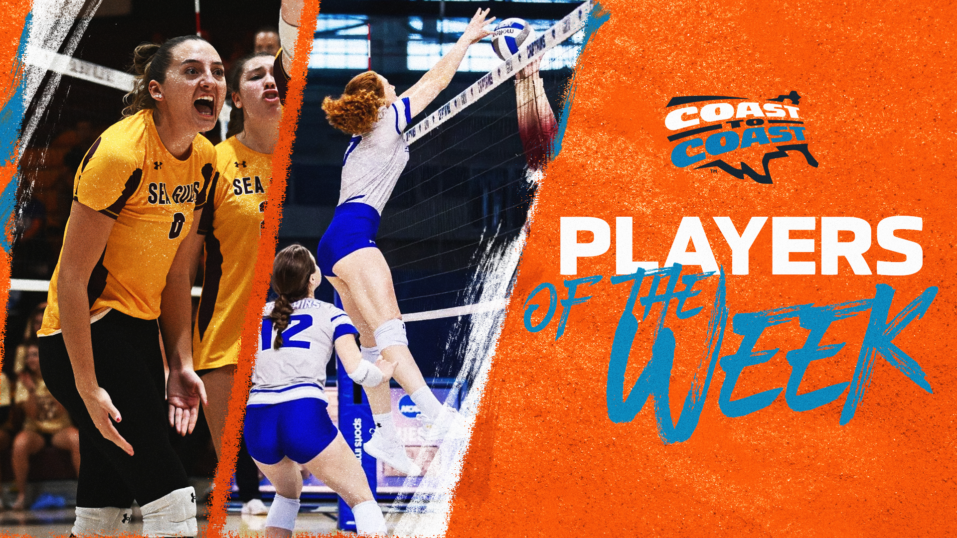 Salisbury&rsquo;s Eustace, Christopher Newport&rsquo;s Dozier Capture C2C Women's Volleyball Weekly Honors